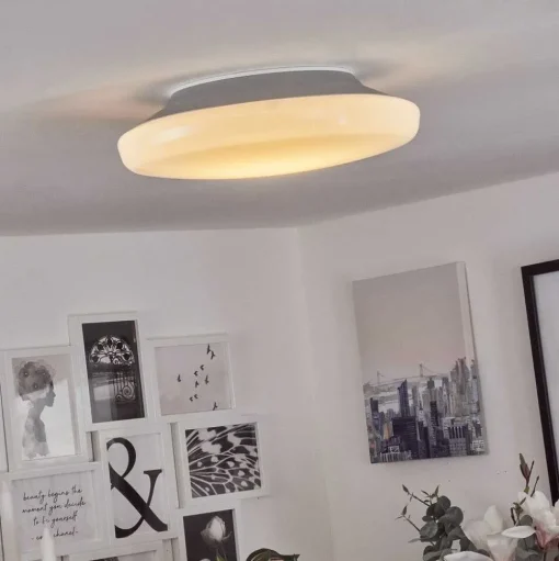 Plafonnier Ral Led Argente, Blanc, 1 Lumiere, Telecommandes, Changeur De Couleurs