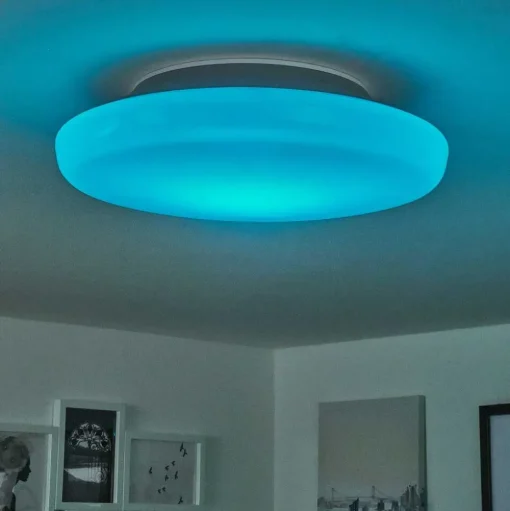 Plafonnier Ral Led Argente, Blanc, 1 Lumiere, Telecommandes, Changeur De Couleurs