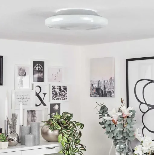 Plafonnier Ral Led Argente, Blanc, 1 Lumiere, Telecommandes, Changeur De Couleurs