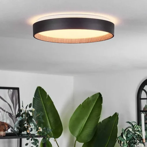 Plafonnier Sassemte Led Blanc, 1 Lumiere