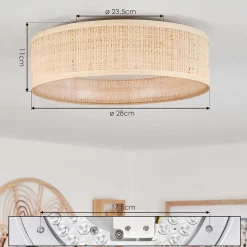 Plafonnier Wynona Led Blanc, 1 Lumiere
