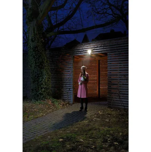 Spot De Jardin Ledvance Endura® Blanc, 1 Lumiere, Detecteur De Mouvement