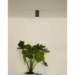 Spot De Plafond Lucide Delto Led Gris, 1 Lumiere
