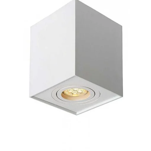 Spot Lucide Tube Blanc, 1 Lumiere