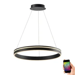 Suspension Paul Neuhaus Q-Vito Led Anthracite, 1 Lumiere, Telecommandes
