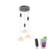 Suspension Paul Neuhaus Q-Etienne Led Noir, 3 Lumieres, Telecommandes