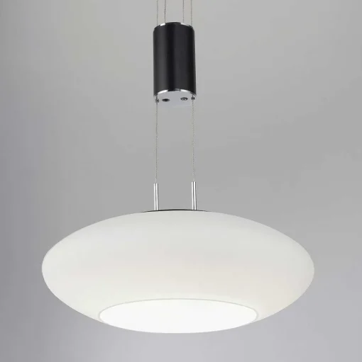 Suspension Paul Neuhaus Q-Etienne Led Noir, 1 Lumiere, Telecommandes