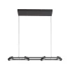 Suspension Paul Neuhaus Q-Mia Led Anthracite, 16 Lumieres, Telecommandes, Changeur De Couleurs