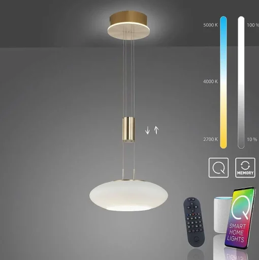 Suspension Paul Neuhaus Q-Etienne Led Laiton, 1 Lumiere, Telecommandes