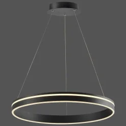 Suspension Paul Neuhaus Q-Vito Led Anthracite, 1 Lumiere, Telecommandes