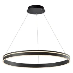 Suspension Paul Neuhaus Q-Vito Led Anthracite, 1 Lumiere, Telecommandes