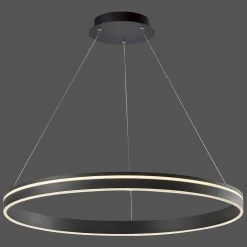 Suspension Paul Neuhaus Q-Vito Led Anthracite, 1 Lumiere, Telecommandes