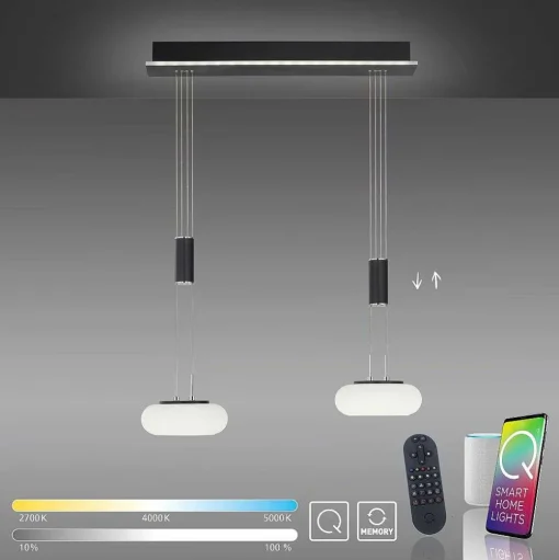 Suspension Paul Neuhaus Q-Etienne Led Noir, 2 Lumieres, Telecommandes