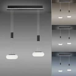 Suspension Paul Neuhaus Q-Etienne Led Noir, 2 Lumieres, Telecommandes