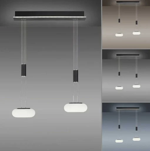 Suspension Paul Neuhaus Q-Etienne Led Noir, 2 Lumieres, Telecommandes