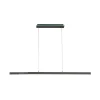 Suspension Paul-Neuhaus Q-Arian Led Anthracite, 4 Lumieres, Telecommandes