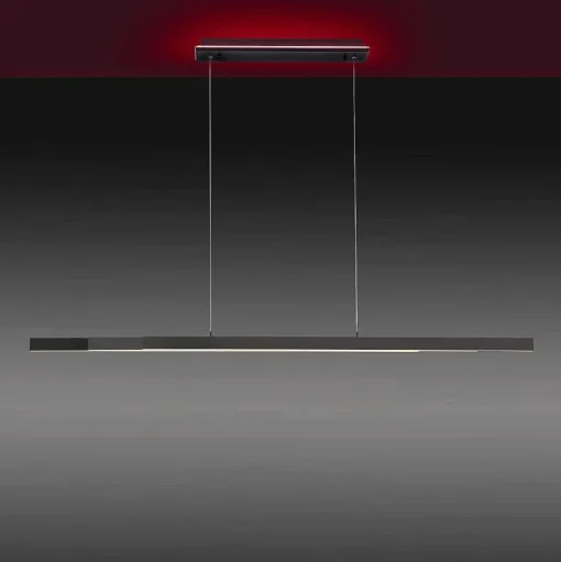 Suspension Paul-Neuhaus Q-Arian Led Anthracite, 4 Lumieres, Telecommandes
