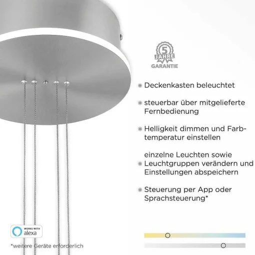 Suspension Paul-Neuhaus Q-Etienne Led Acier Brosse, 2 Lumieres, Telecommandes