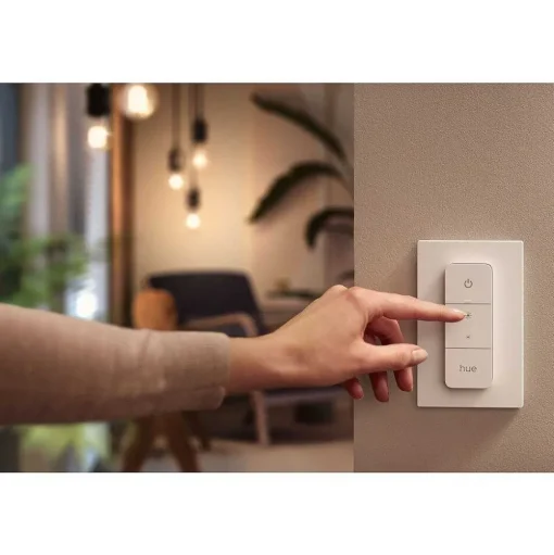 Suspension Philips Hue Cher Led Blanc, 1 Lumiere, Telecommandes