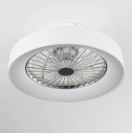 Ventilateur De Plafond Moli Led Blanc, 1 Lumiere, Telecommandes