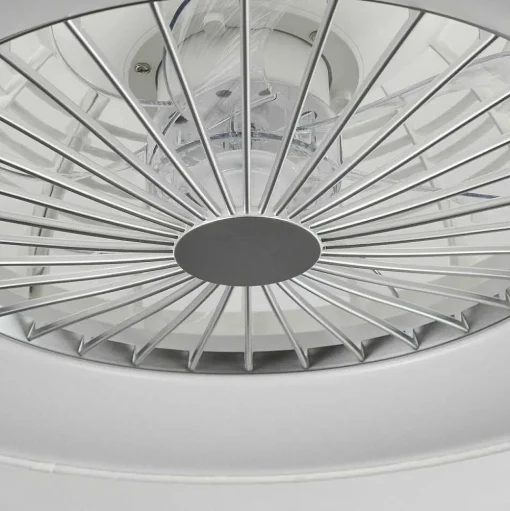 Ventilateur De Plafond Moli Led Blanc, 1 Lumiere, Telecommandes