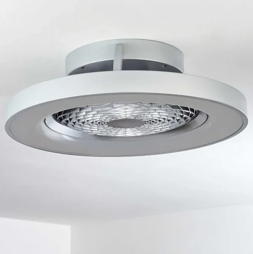 Ventilateur De Plafond Penon Led Argente, 1 Lumiere, Telecommandes