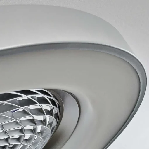 Ventilateur De Plafond Penon Led Argente, 1 Lumiere, Telecommandes