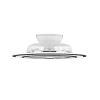 Ventilateur De Plafond Reality Flaga Led Noir, 1 Lumiere, Telecommandes