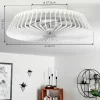 Ventilateur De Plafond Rivarotta Led Blanc, 1 Lumiere, Telecommandes